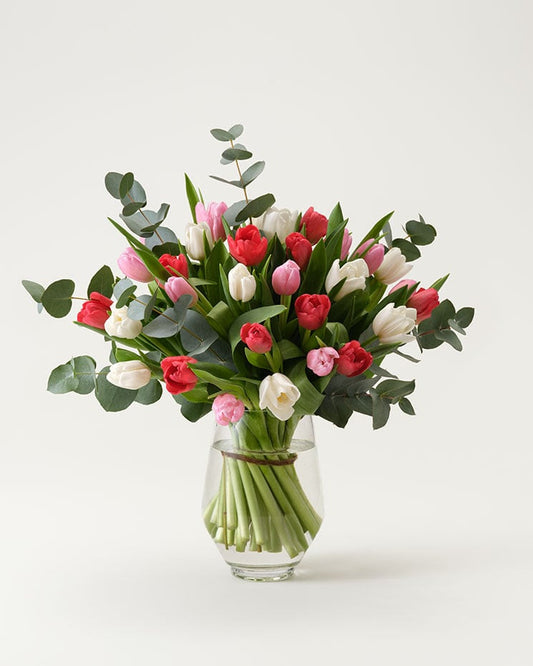 Love Tulips - Tulpaner